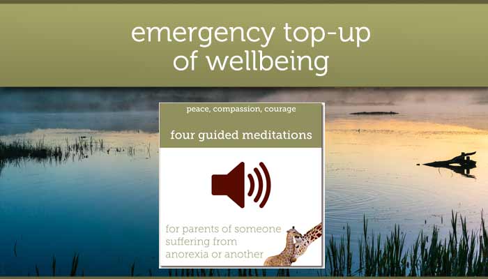 guided self-compassion meditations